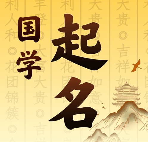 西青国学起名 人工起名一对一